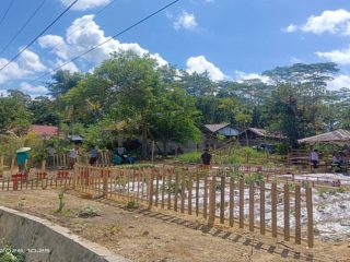 Sambut HUT RI ke-81, Pemdes TOLIHE Gelar Kerja Bakti